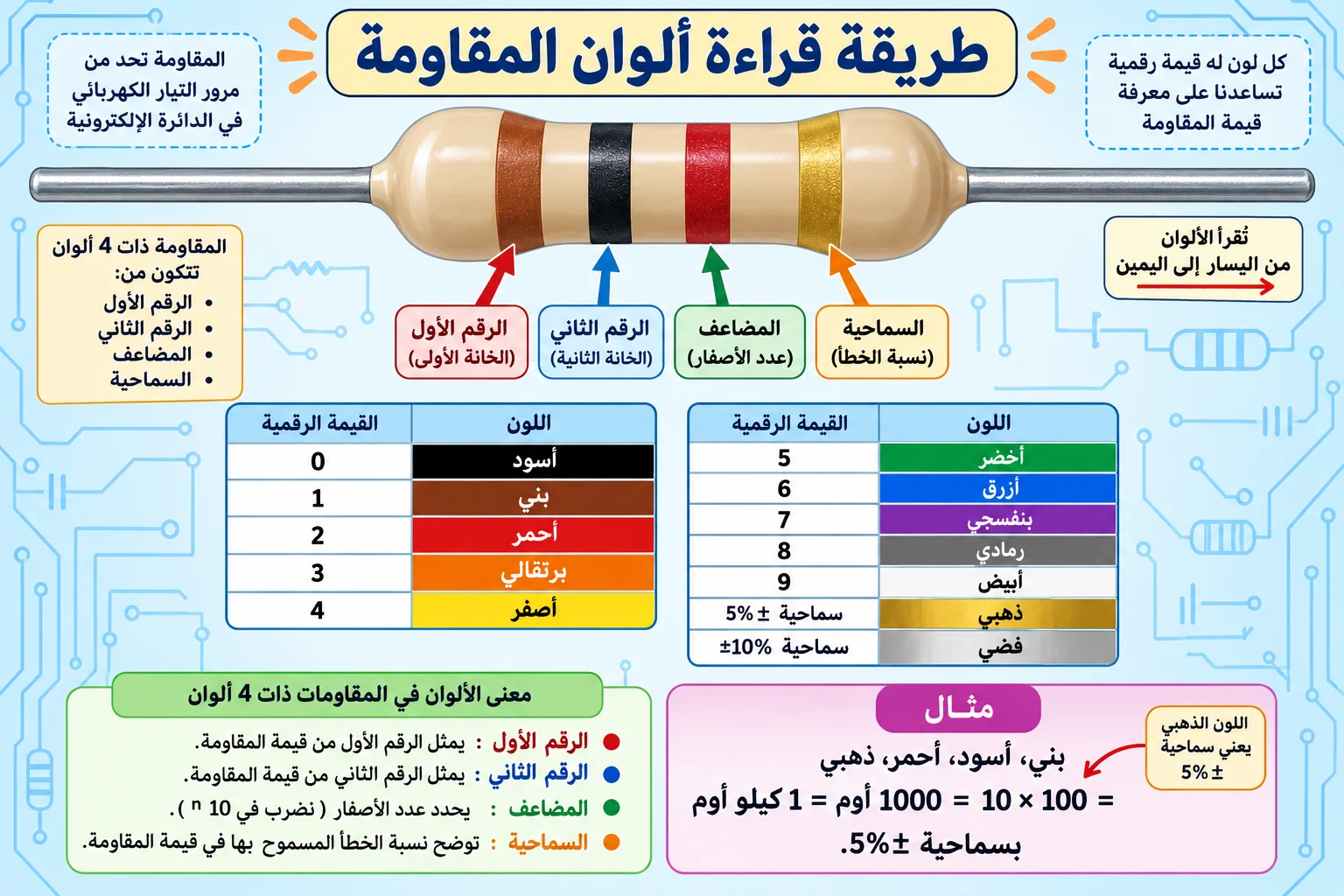 لوحة تعليمية: قراءة ألوان المقاومة